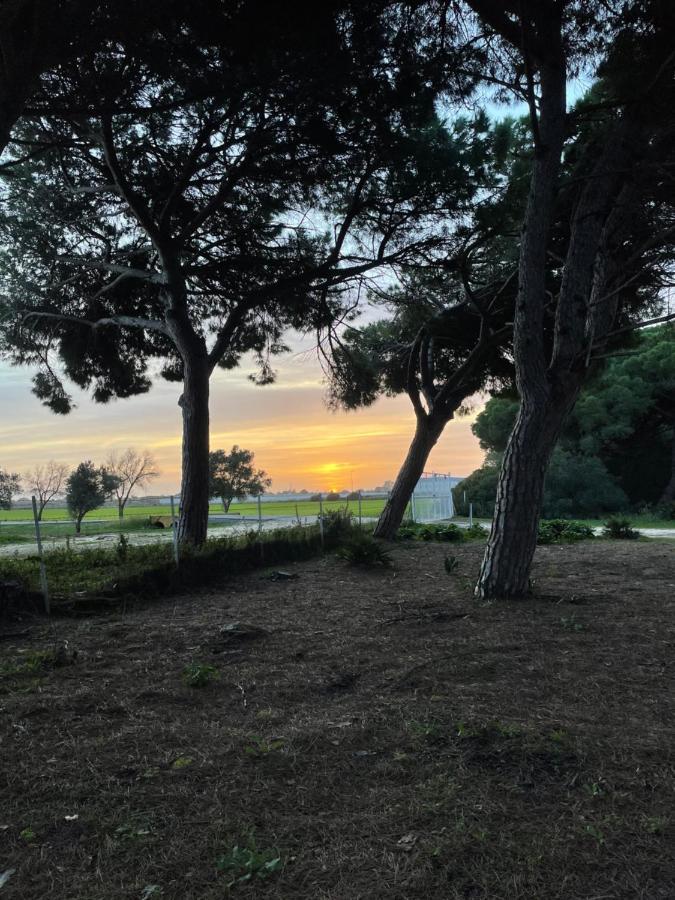 بويرتو ريال Casa Rural Vacacional المظهر الخارجي الصورة